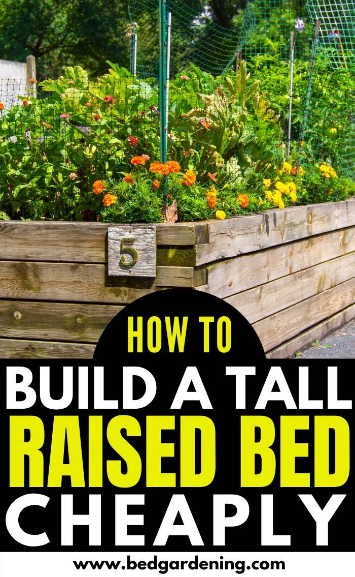 How to Build Tall Raised Garden Beds? – Bed Gardening