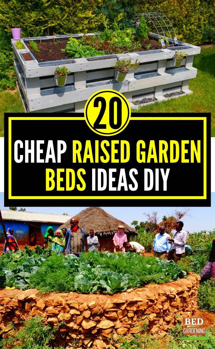 20 Cheap Raised Garden Beds DIY Bed Gardening