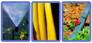 Best Irrigation System for a Vegetable Garden – Bed Gardening