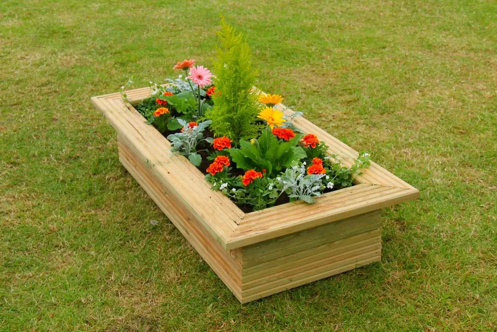 Flowers And Herbs In 2×4 Raised Bed