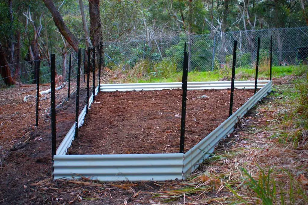 galvanized raised bed garden