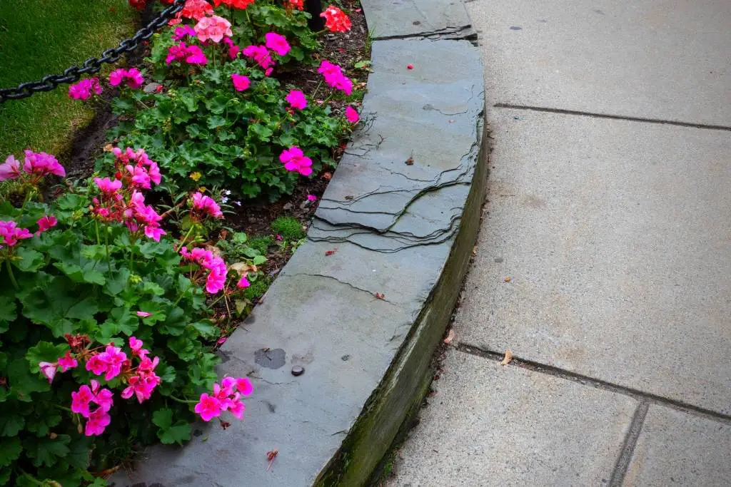 concrete raised bed garden