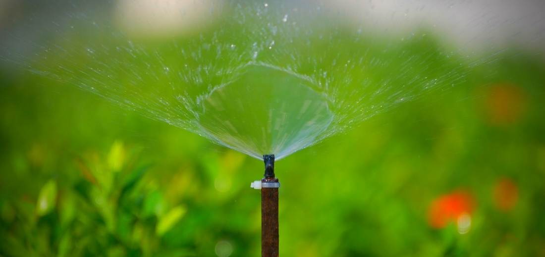 Best Irrigation System for a Vegetable Garden Bed Gardening