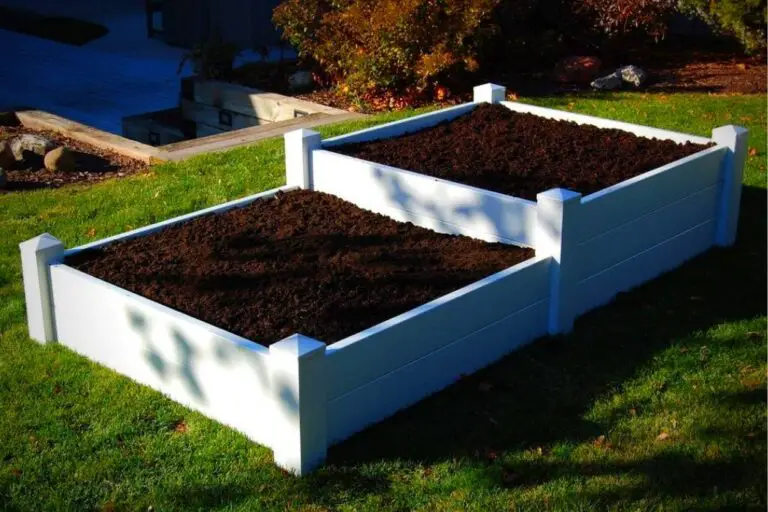 5 Best Wooden Raised Garden Beds For Vegetables Bed Gardening