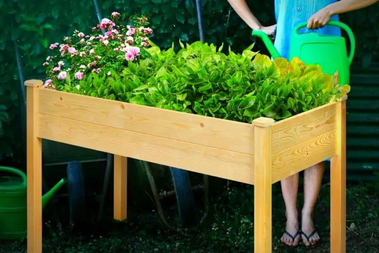 10 Waist High Raised Garden Beds Plans Bed Gardening
