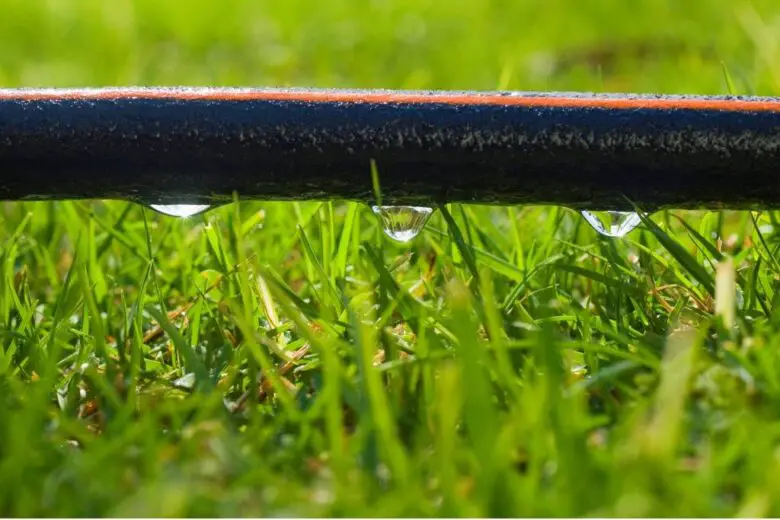 The Best Self Watering Systems For Your Raised Beds Bed Gardening