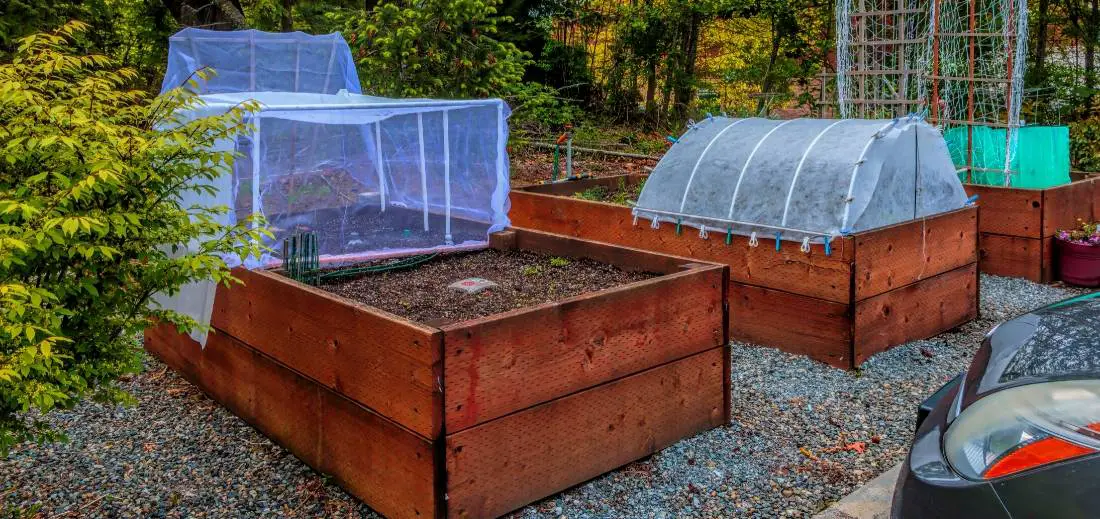 How To Fill Your Tall Raised Beds With Best Material? Bed Gardening