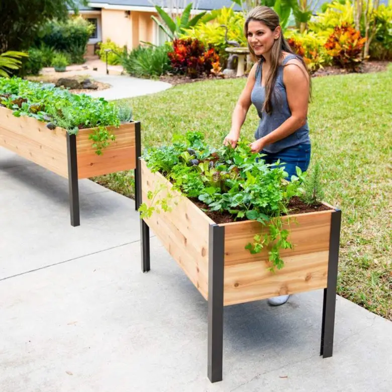 Best Indoor Raised Planter Box Bed Gardening