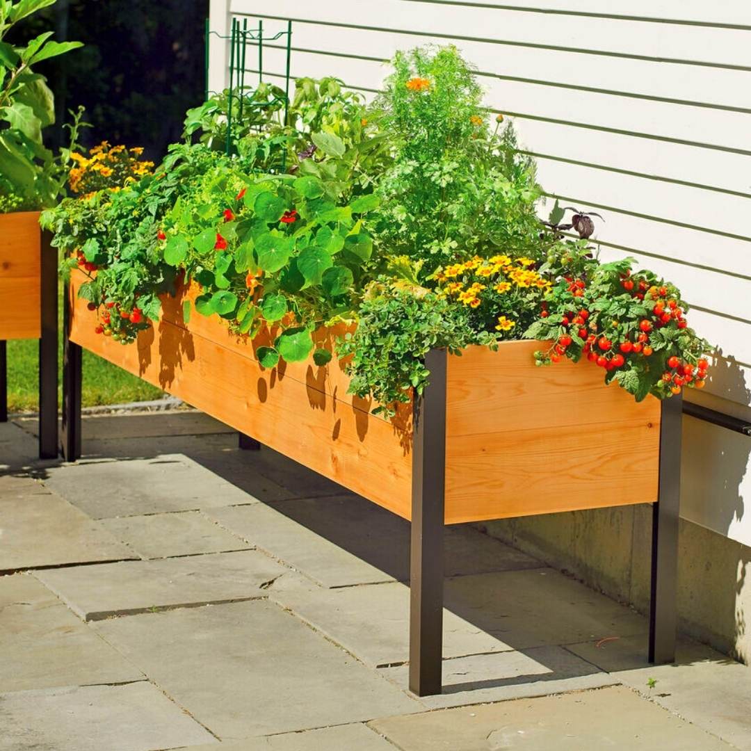 20 Best Indoor Raised Planter Box Bed Gardening