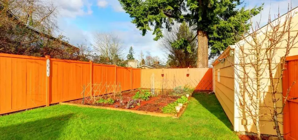 Raised Bed along with Fence