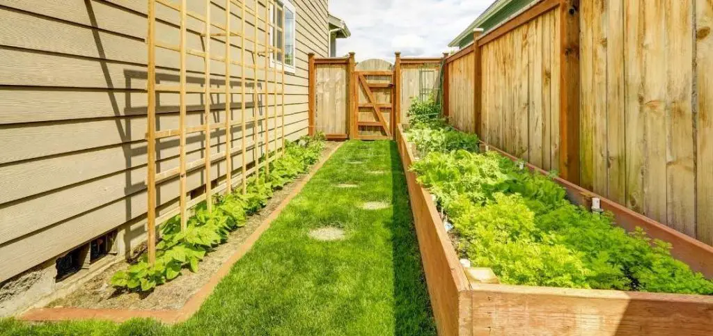 Raised Bed along with Fence