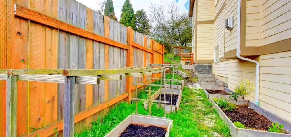 Raised Bed along with Fence