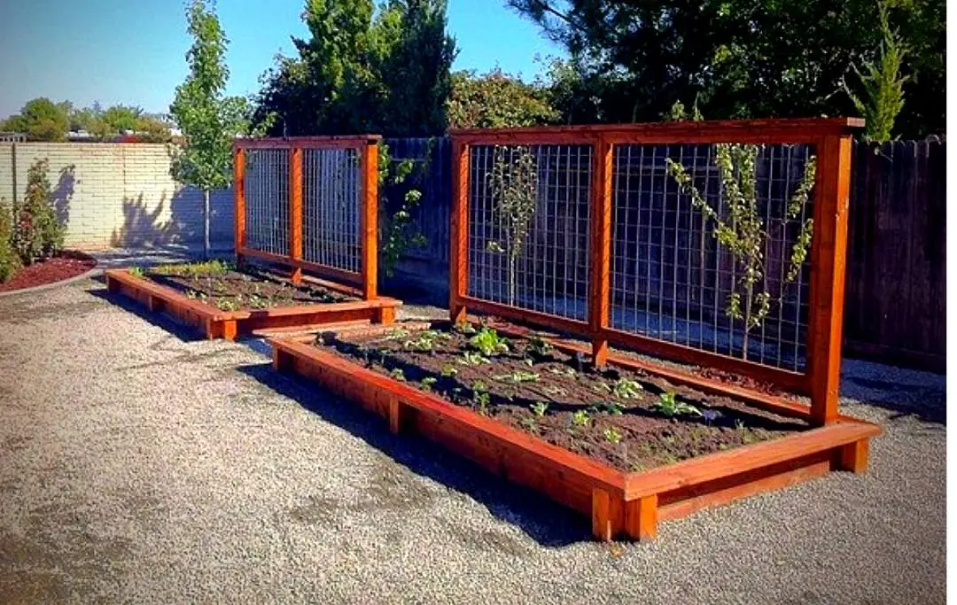 How to Build a Raised Garden Bed With Trellis Bed Gardening