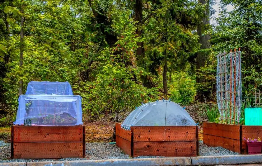 RECTANGLE RAISED BED