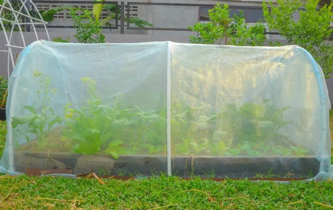 How To Make Row Covers For Raised Beds? Bed Gardening