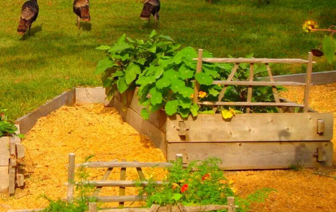 15 BEST RAISED GARDEN BED KITS TO BUY Bed Gardening