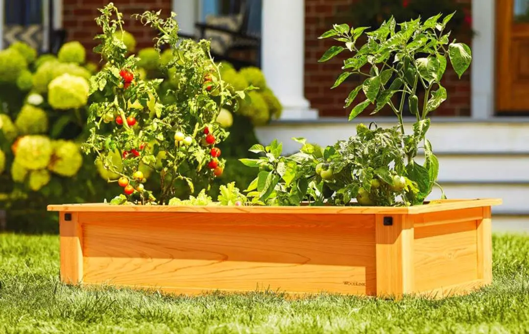 15 BEST RAISED GARDEN BED KITS TO BUY Bed Gardening