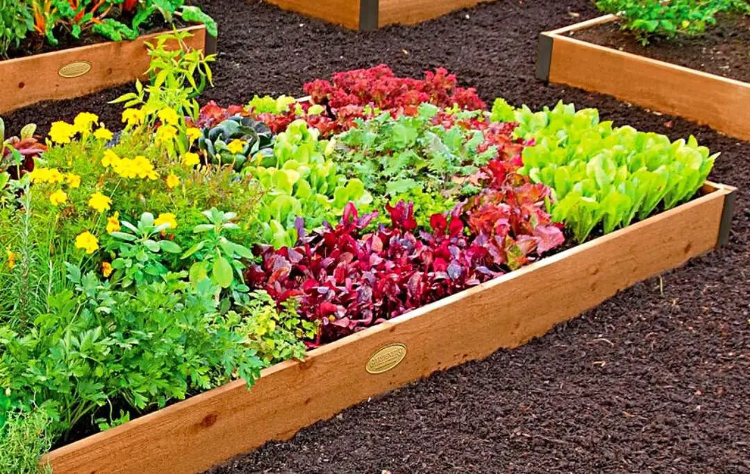 15 BEST RAISED GARDEN BED KITS TO BUY Bed Gardening