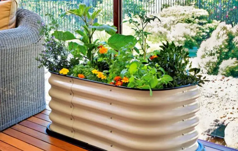 5 BEST METAL RAISED GARDEN BEDS – Bed Gardening