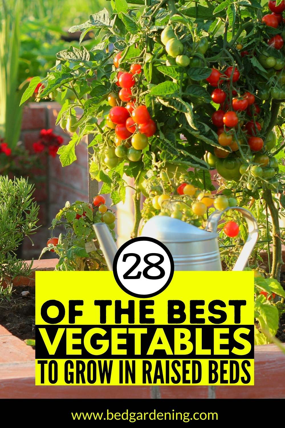 28 Best vegetables to grow in a small raised bed Bed Gardening