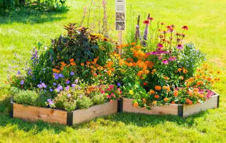 15 BEST RAISED GARDEN BED KITS TO BUY Bed Gardening