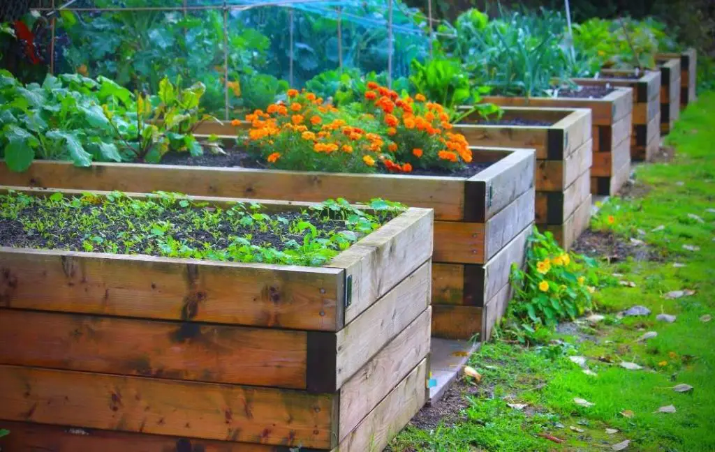 RAILWAY SLEEPERS RAISED BED