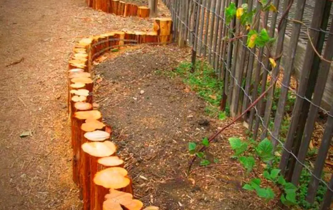 10 BEST DIY RAISED BED GARDEN IDEAS AND DESIGNS Bed Gardening