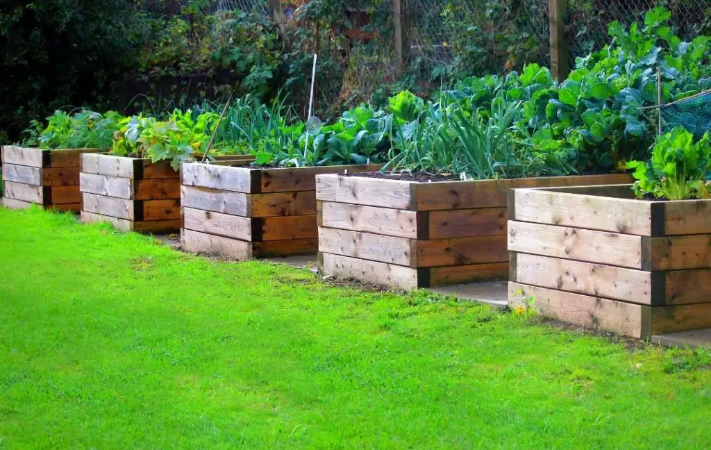 wood raised bed garden