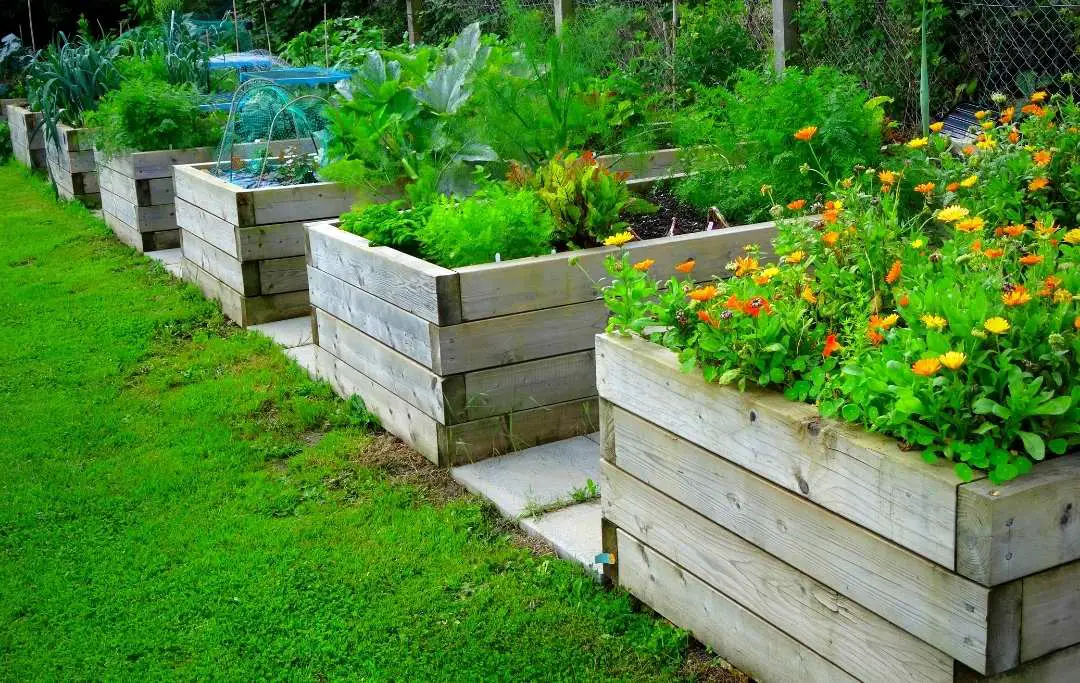 20 DIY RAISED GARDEN BORDER IDEAS Bed Gardening