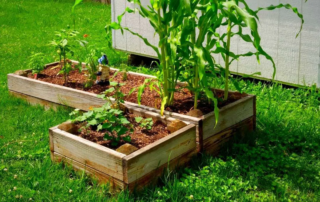 20 DIY RAISED GARDEN BORDER IDEAS Bed Gardening