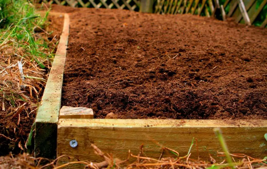 20 DIY RAISED GARDEN BORDER IDEAS Bed Gardening