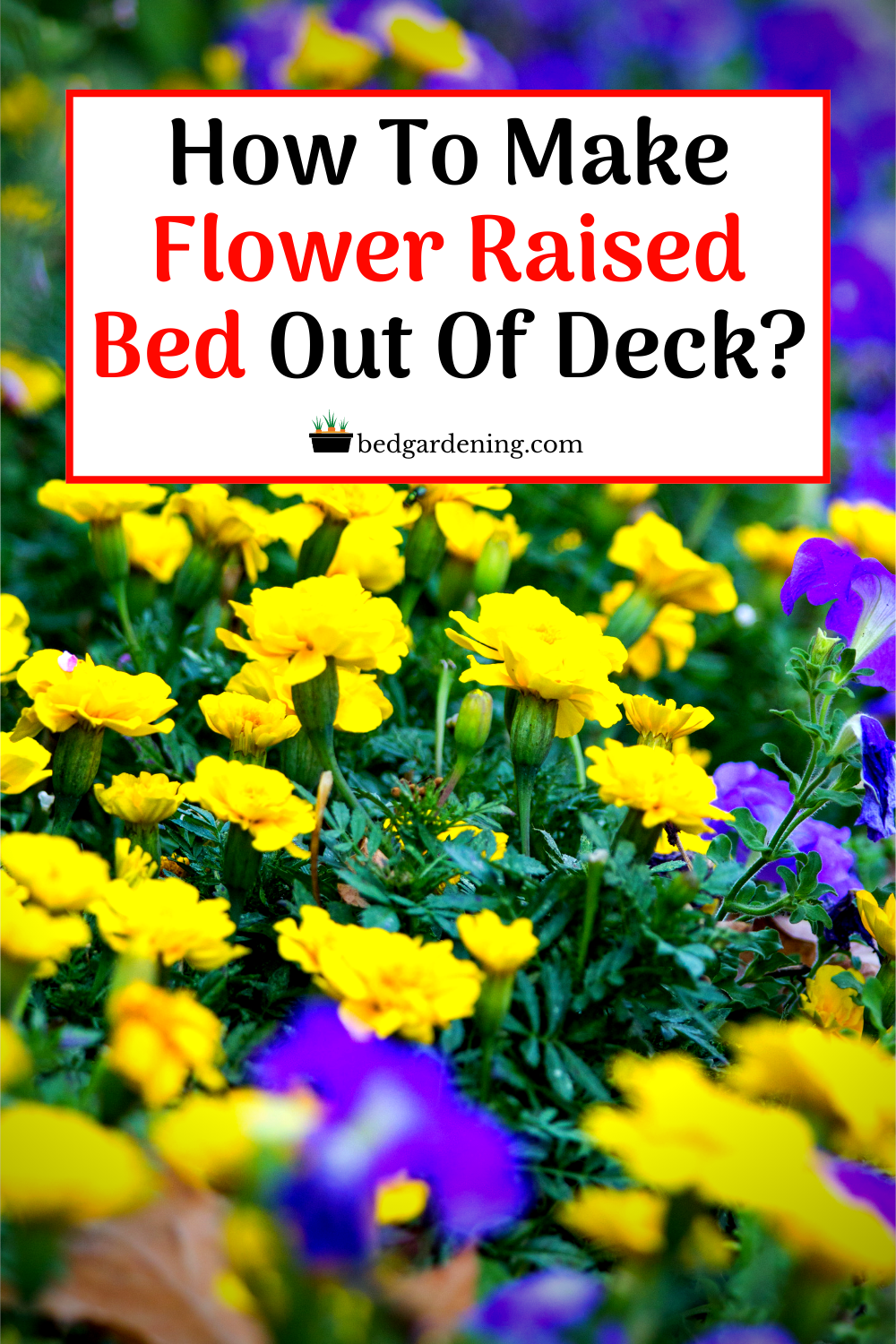 HOW TO MAKE FLOWER BED OUT OF DECK? Bed Gardening