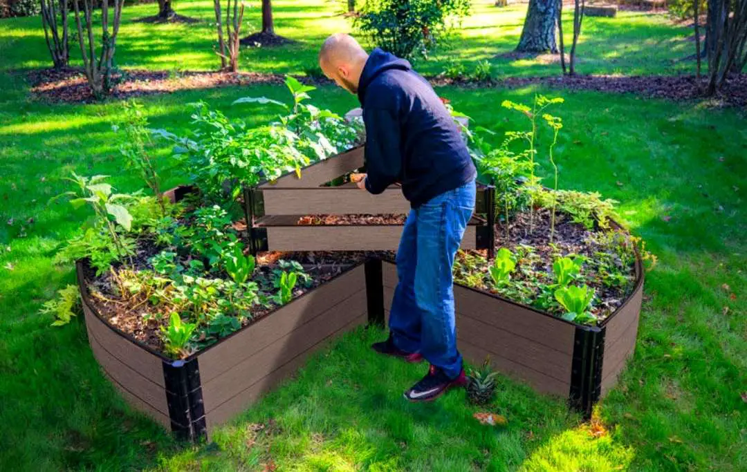WHAT TO PLANT IN A KEYHOLE GARDEN? 20 Vegetables To Grow In A Keyhole