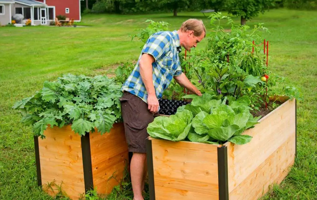 WHAT TO PLANT IN A KEYHOLE GARDEN? 20 Vegetables To Grow In A Keyhole