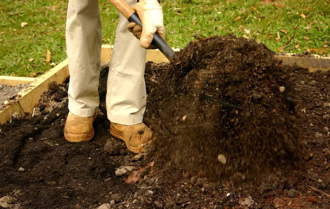 HOW TO AMEND OR FERTILIZE YOUR GARDEN BED SOIL? Bed Gardening