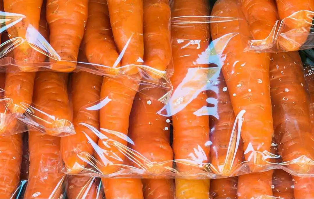 HOW TO GROW CARROTS IN A RAISED BED? Bed Gardening