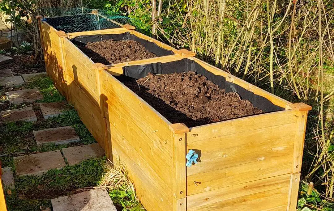 HOW TO GROW BLUEBERRIES IN A RAISED BED? Bed Gardening