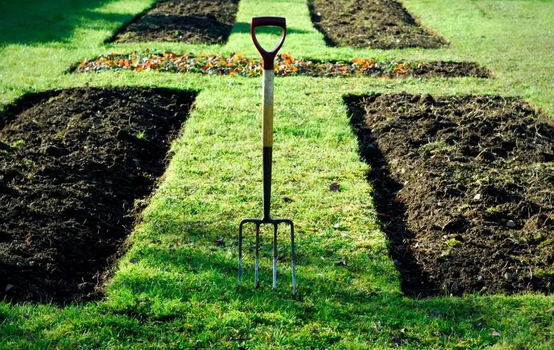 HOW TO START A NODIG GARDEN? Bed Gardening