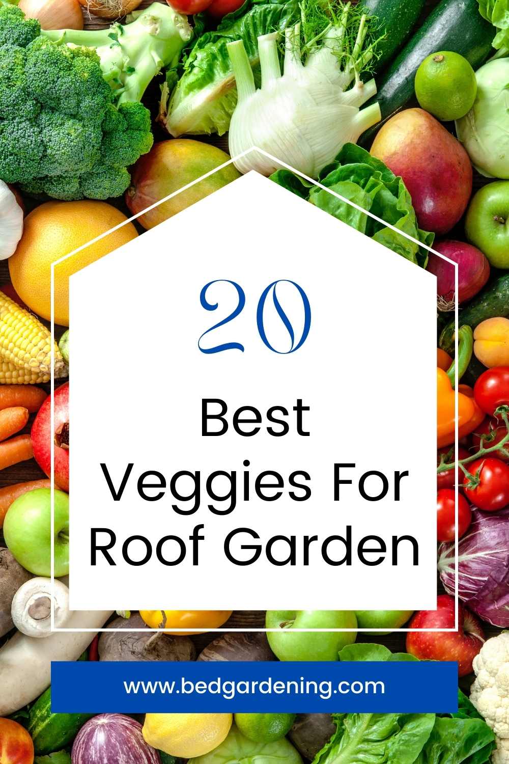 20 Best Plant For Roof Garden – Bed Gardening - Roof Garden Plant Selection Criteria