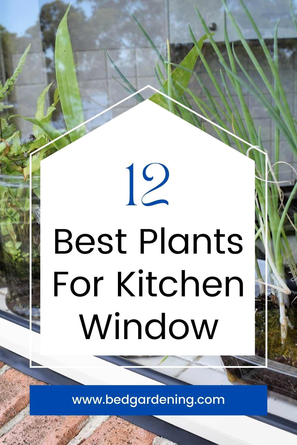 Best Plants For Kitchen Window Bed Gardening
