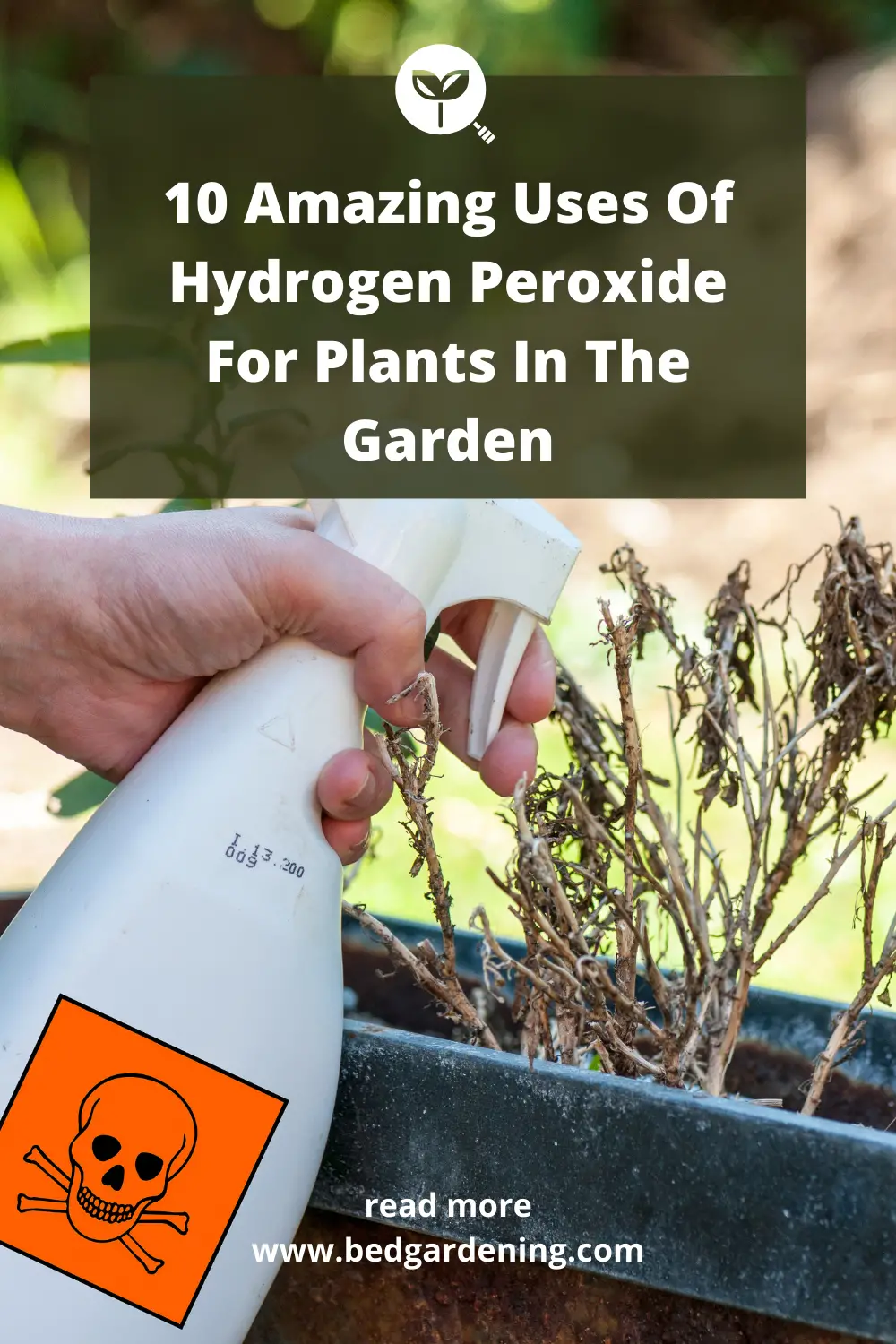 Hydrogen peroxide IN PLANTS pin