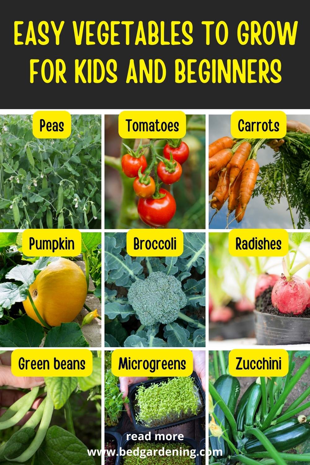 Easy Vegetables To Grow For Kids And Beginners pin