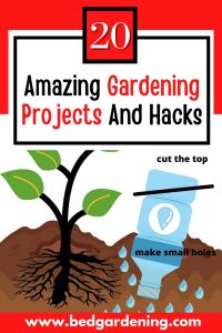 self watering
