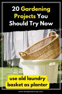 laundry basket as planter