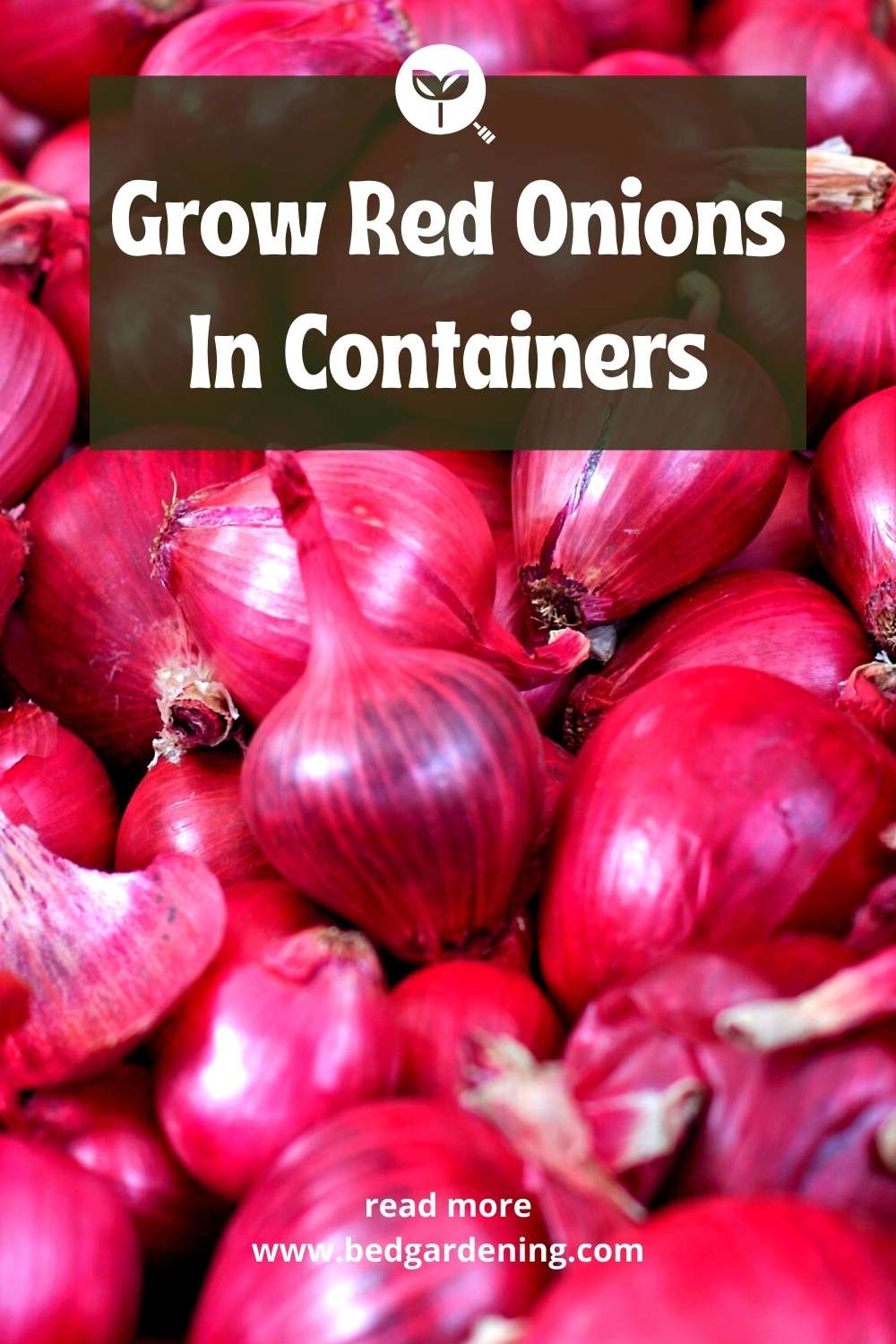 Grow Red Onions In Containers Bed Gardening