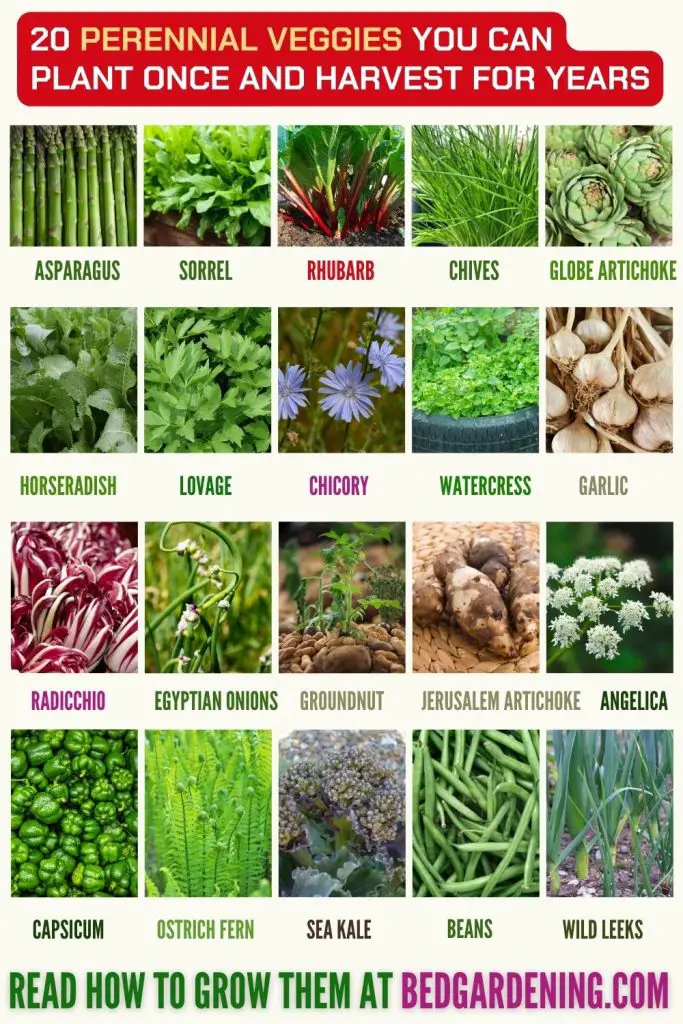 20 Perennial Veggies You Can Plant Once And Harvest For Years Bed