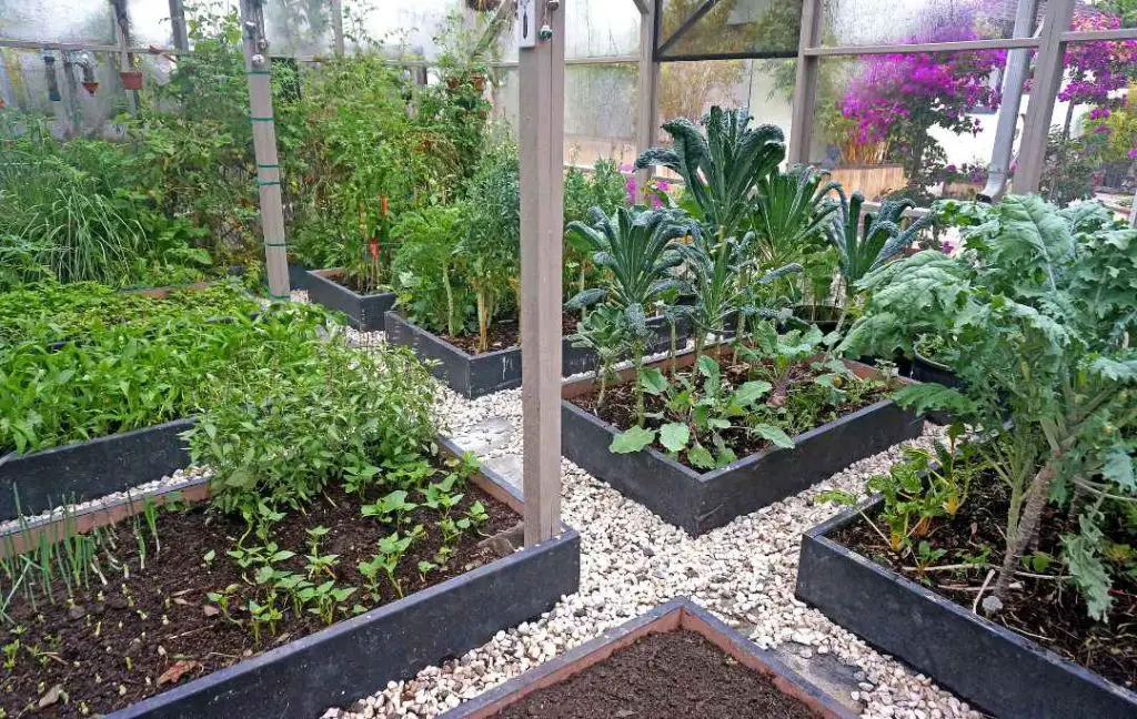 Planting Schemes For Raised Beds
