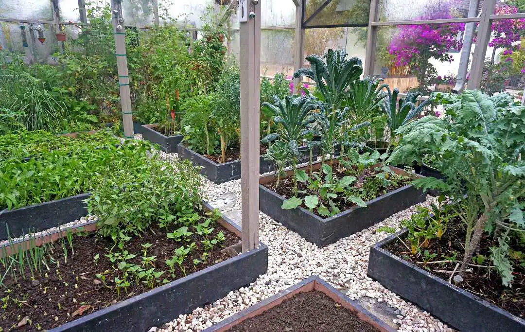 Planting Schemes For Raised Beds Bed Gardening