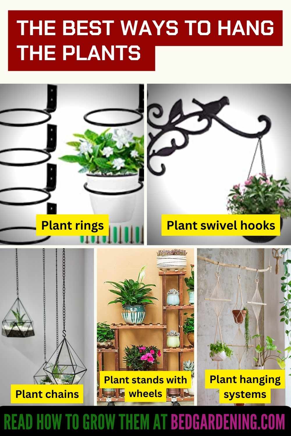 The Best Ways To Hang The Plants – Bed Gardening