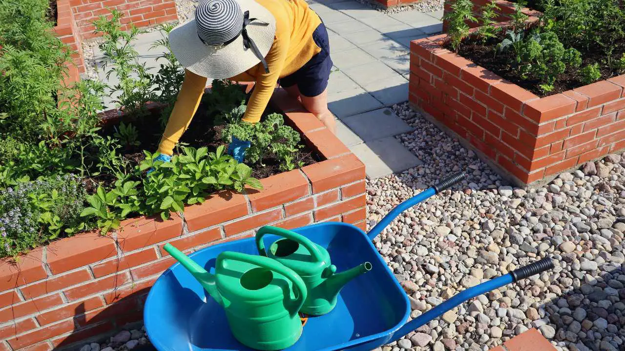 Best Fertilizer For Raised Bed Vegetable Garden. Bed Gardening